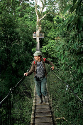 Canopy Walkway in Inkaterra Reserva Amazónica